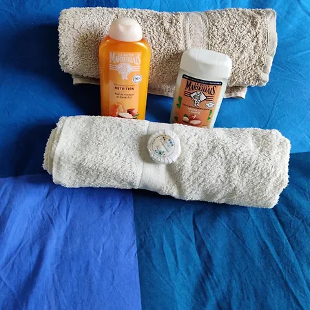 Petit Nid En Alsace Independant Avec Salle De Douche Privative Privatunterkunft