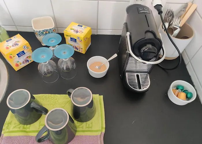 Petit Nid En Alsace Independant Avec Salle De Douche Privative Homestay Buschwiller