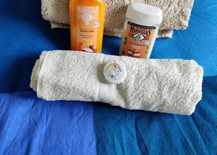 Petit Nid En Alsace Independant Avec Salle De Douche Privative Homestay